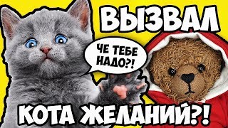 ВЫЗОВ КОТА ЖЕЛАНИЙ ПРОШУ ЛИЗУН