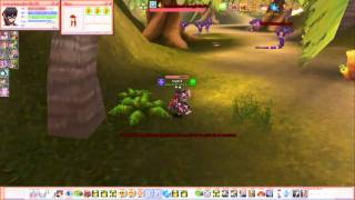 Flyff Desirea Master Solo