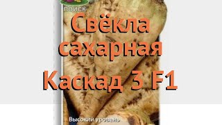 Свекла сахарная Каскад 3 F1 (kaskad 3 f1) ? Каскад 3 F1 обзор: как сажать, семена свеклы Каскад 3 F1