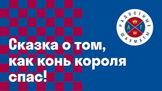 СКАЗКА О ТОМ,КАК КОНЬ КОРОЛЯ СПАС!!!!!ШАХМАТЫ ДЛЯ ВСЕХ