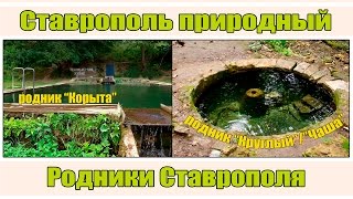 Родники Ставрополя: «Корыта» + «Круглый» (Природный Ставрополь)