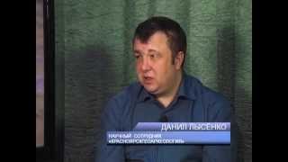 Итоги раскопок в Енисейске