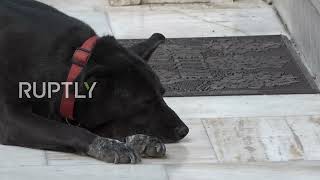Greece: Nation mourns death of singer, politician and dissident Mikis Theodorakis