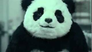 Never say no to Panda