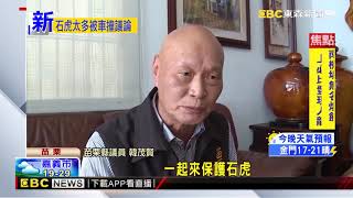 「石虎太多才被路殺」 苗縣議員超狂發言挨轟