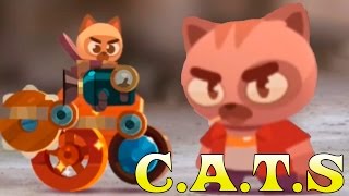 C.A.T.S - битва котов - коты воители битвы