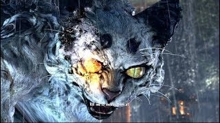 Nioh (PS4) - босс Бьякко. Без комментариев.