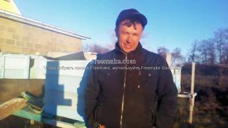Немного о рогатых. О развитии и жизни пчёл в этих ульях.