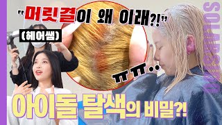 잦은 탈색으로 쓰레기 된 머릿결... 어떻게 됐냐면요...