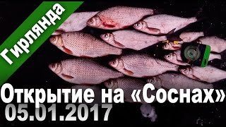 Ловля на гирлянду и безмотылку. Открытие на "Соснах" в сезоне 2017. (Плотва)