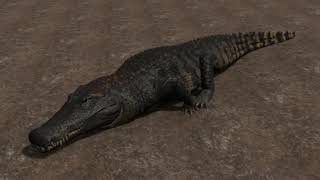 The Isle: Deinosuchus Crawl