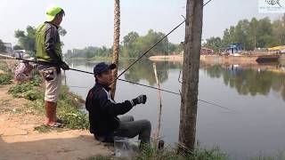 CÂU CÁ MIỀN TÂY TẬP 72 | PHƯỢT CÂU CÁ - CẤM CÂU Ở LONG AN PHẦN 3 | HUYNH KHOA FISHING