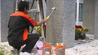 หยุดปัญหาคราบตะไคร่ เชื้อรา by TOA เคมีภัณฑ์ก่อสร้าง