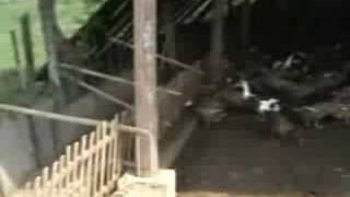Tarlac College of Agriculture Part 1