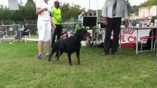 FRANCAIS KS 23 09 12 OPEN CLASS FEMALES+