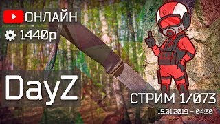 DayZ - Выживаем как умеем!