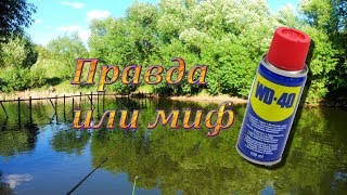 Ловим на WD-40 ЭКСПЕРИМЕНТ!