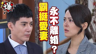 《多情大爆爆》多情城市 EP295 霸挺愛妻 永不離婚？