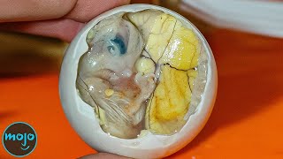 Top 10 Outrageous Food Dishes Youve Never Heard Of