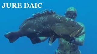 ★ Pesca in apnea - Cernia 16,5 Kg in Croazia con Jure DAIC