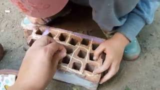 Волшебный камень
Magic stone