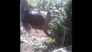 Пьяная соседка взбесилась. Часть 2.