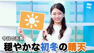 お天気キャスター解説 11月11日(水)の天気