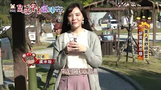 世外「桃園」！復興區風景明媚 北台最大賞梅勝地【2020鼠來寶島逗陣行】
