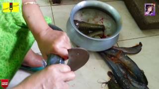 Desi magur fish (cat fish) cutting technique | How to cat fish cutting processing showing Mom