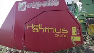 Жатка подсолнечниковая Capello Helianthus