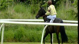 Muspelheim Wins At Carlisle