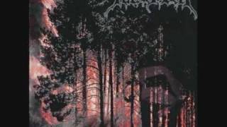 Lutomysl - R (Cocpegotozue)