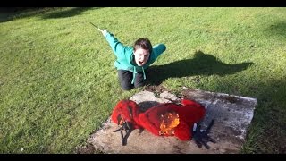 Psycho Kid Burns Lizard