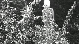 Добро пожаловать или посторонним вход воспрещен (1964)