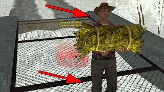 ЗДЕСЬ КРУТЯТСЯ БОЛЬШИЕ ДЕНЬГИ! GTA:CRMP RADMIR RP #3