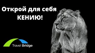 Travel Bridge провёл Кенийский Бизнес-завтрак для турагентств Украины