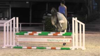 Cassina Lee // Erster Parcour
