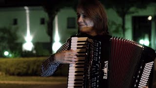 Shape of you - accordion cover - Ed Sheeran