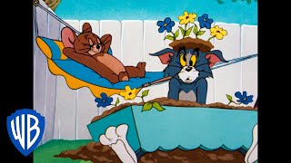 Tom y Jerry en Latino | La resolución de Año Nuevo | WB Kids