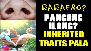 Babaero? Pangong ilong? Napapanot?  Alam mo ba na ito ay namamana?