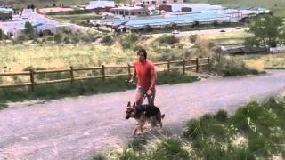 Trail Running with Uri