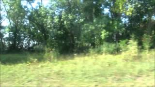 Автобусы Курска. Ikarus-250.95 (с двигателем ЯМЗ)