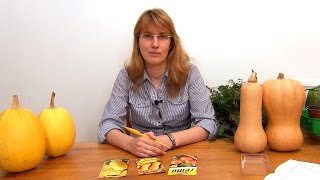 Тыквы. Рассада. (ч.1)