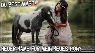 DU BESTIMMST! Neuer Name für mein neues PONY ♥