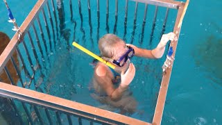 ШОК!!! Ныряю в клетке с АКУЛАМИ! | Swimming with real sharks in the cage