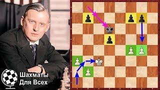 Шахматы. Александр Алехин В ШОКЕ! Бриллиант пешечного эндшпиля!