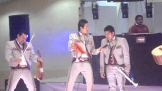 mariachi juvenil santa fe de leon guanajuato - 4 meses