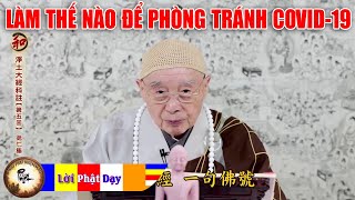 Dịch bệnh corona Pháp Sư Tịnh Không Thuyết pháp làm thế nào tránh virus corona, phật pháp nhiệm màu