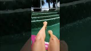 Wwe carmella feet