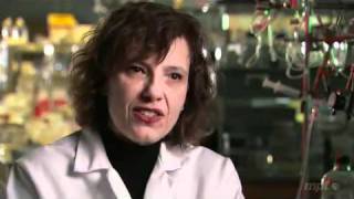 Artificial Organ Regrowth